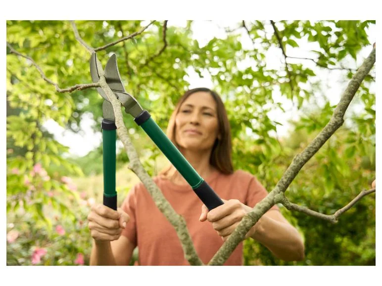 Taille-haies ou coupe-branches bypass