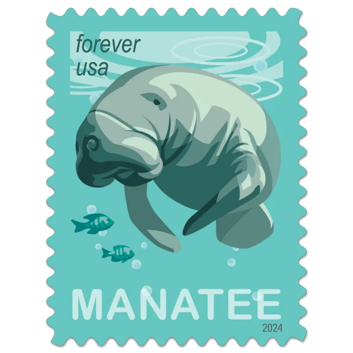 Save Manatees 2024