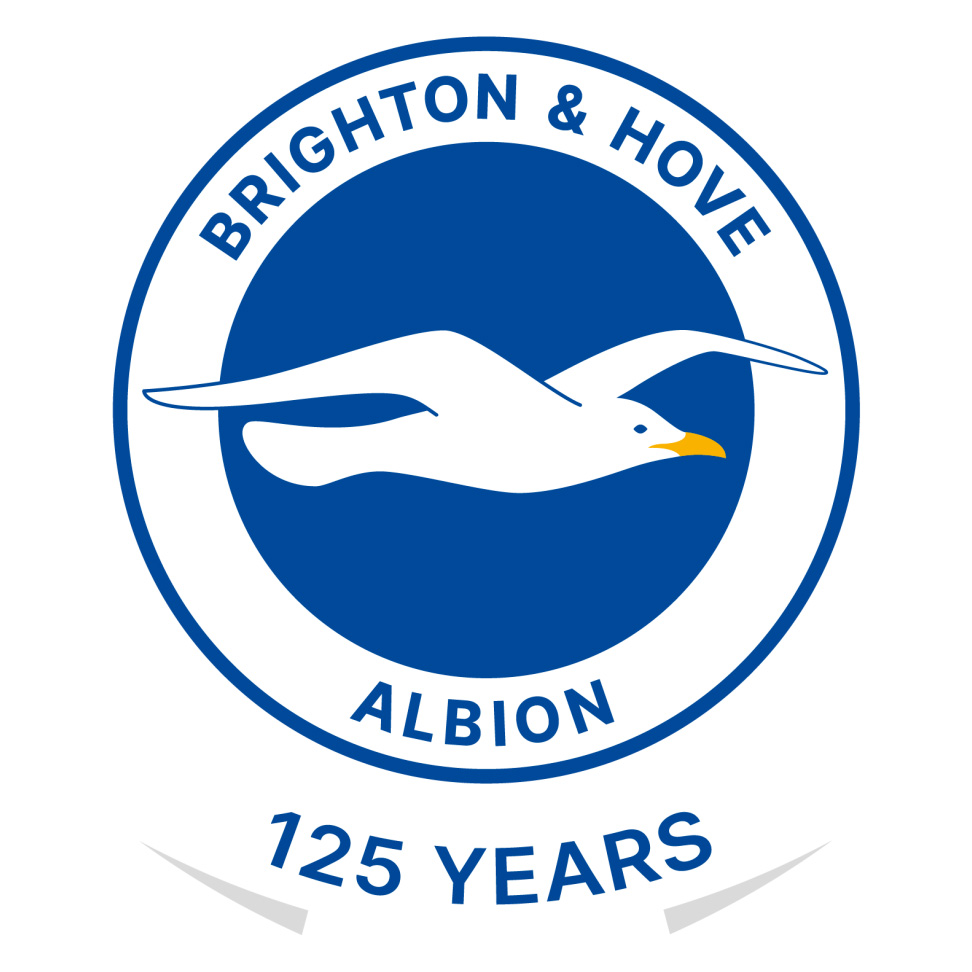 Brighton and Hove Albion Jersey