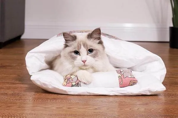 Comfy Kitty Sleeping Bag