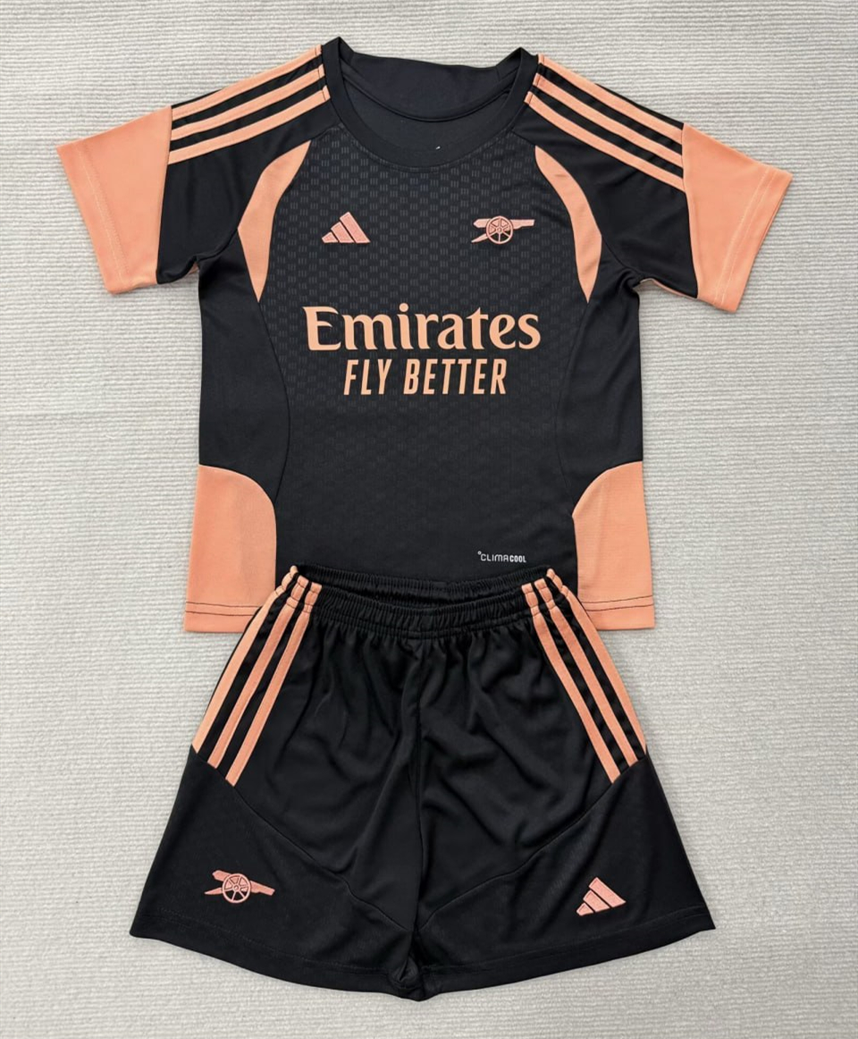 Arsenal Tiro Training Men Jersey Suit 26/27