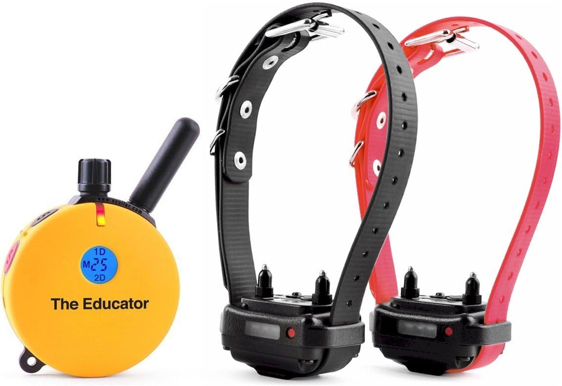 Humane Dog Training Collar with Remote, Features 100 Levels of Safe Stimulation, Tapping Sensation, Night Light, Waterproof, Rechargeable, 1 Mile 1 Dog, Black