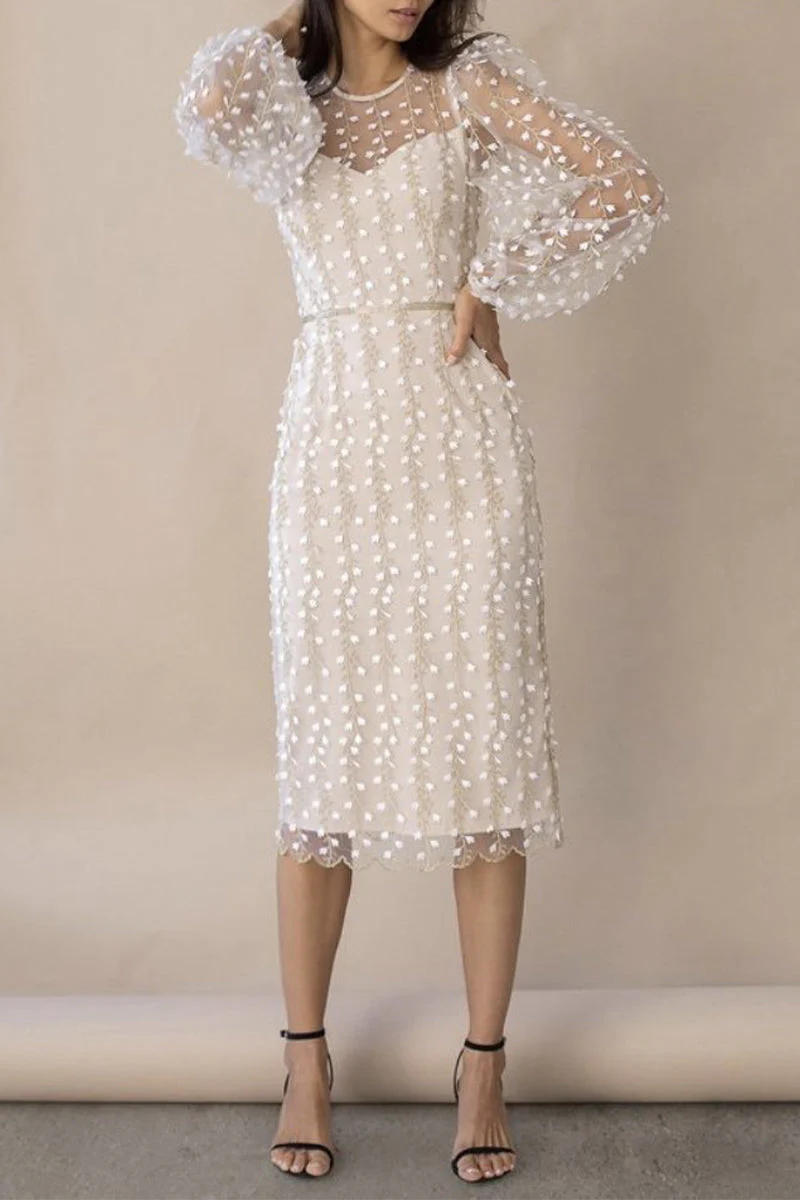 Elegant Embroidered Sheer Sleeve Bandage DressClistos