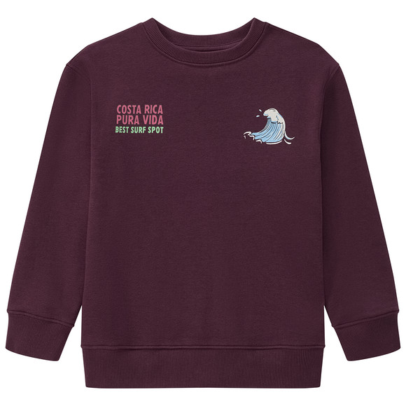 Jonas Nielsen Jungen Sweatshirt mit Print