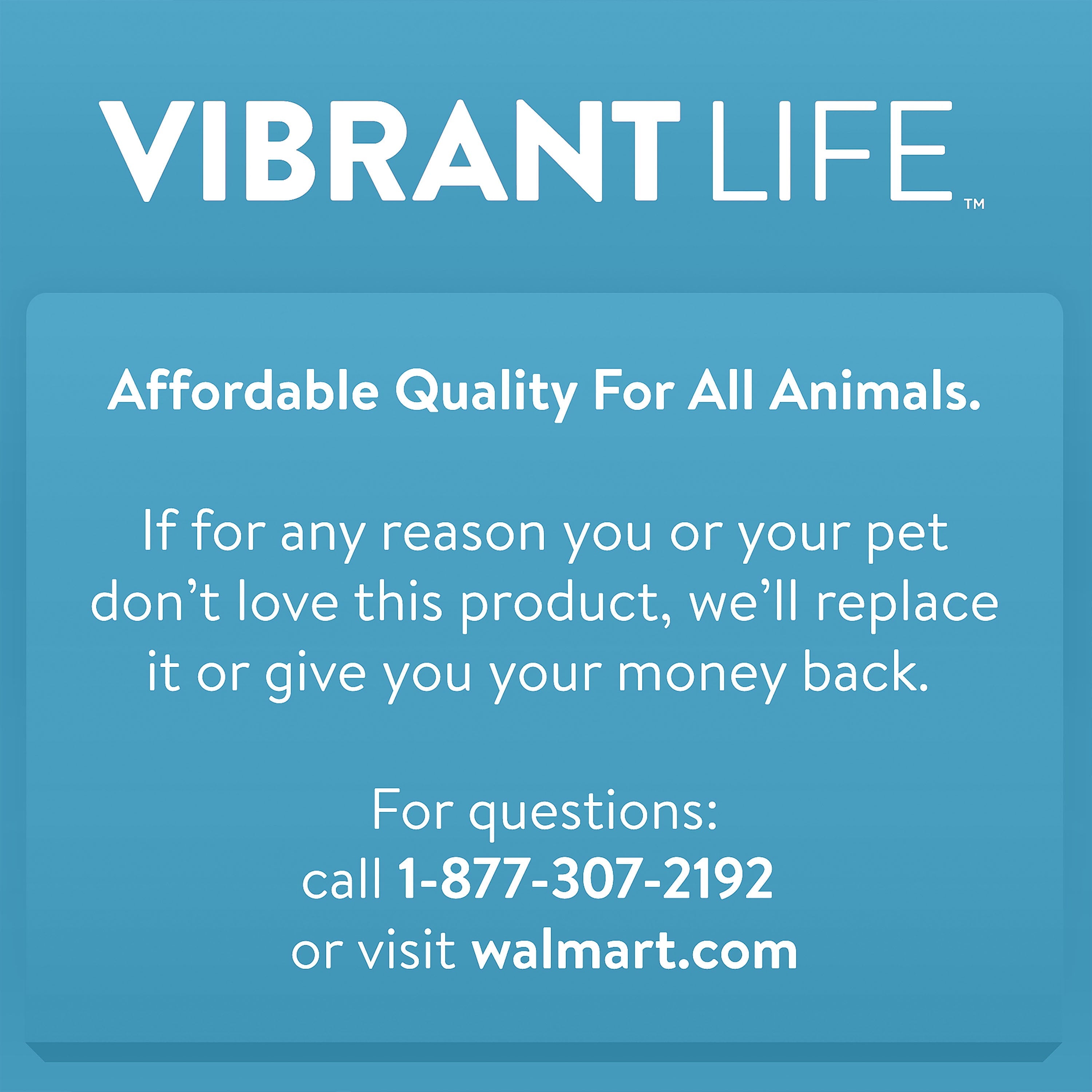 Vibrant Life Playful Buddy Tie Dye Chicken Dog Toy, Chew Level 2, with Squeaker.