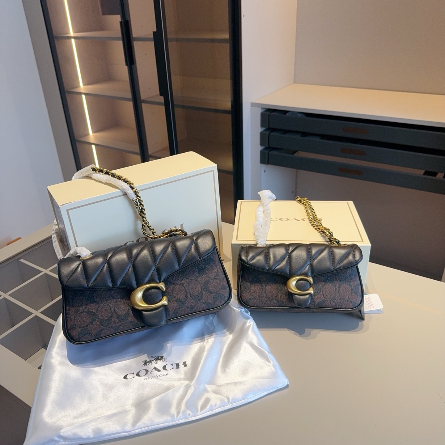 Coach's new color-blocked Dionysus bag high version - cnluxepick