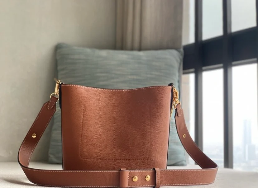 Louis Vuitton Lock and Walk Shoulder Bag