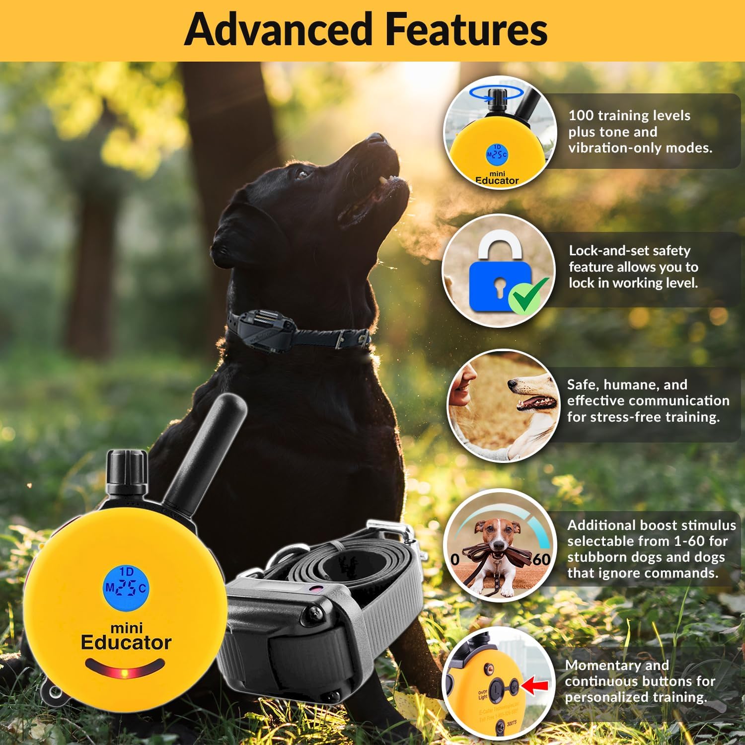 Humane Dog Training Collar with Remote, Features 100 Levels of Safe Stimulation, Tapping Sensation, Night Light, Waterproof, Rechargeable, 1 Mile 1 Dog, Black