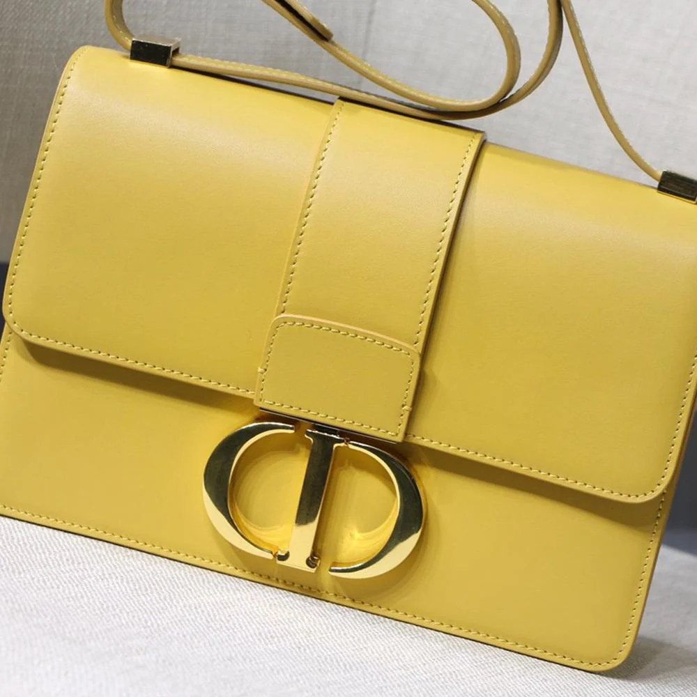 Dior 30 Montaigne Pouch