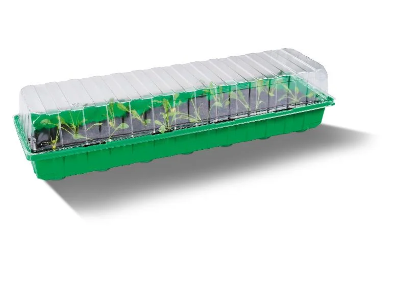 Lot de 2 mini serres