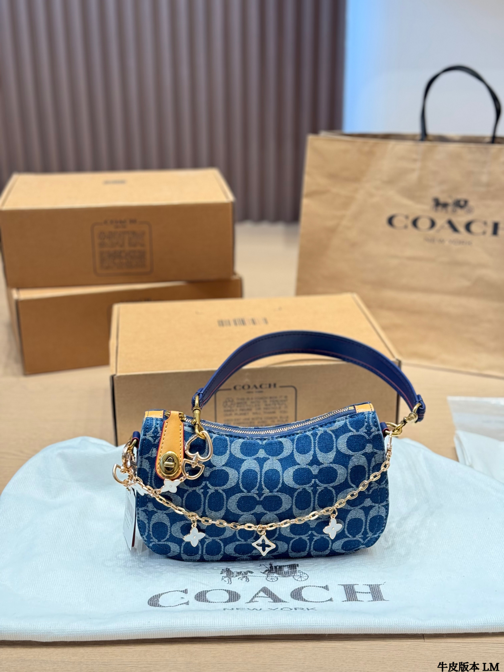 Coach Teri underarm bag - cnluxepick