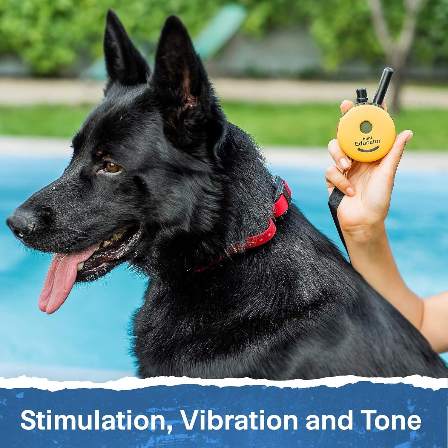 Collar for Dog Training with Remote – 1/2 Mile Range, Waterproof, 100 Blunt Stimulation Levels, Tone or Vibration Mode, Night Light Tracking for Small, Medium & Large Dogs