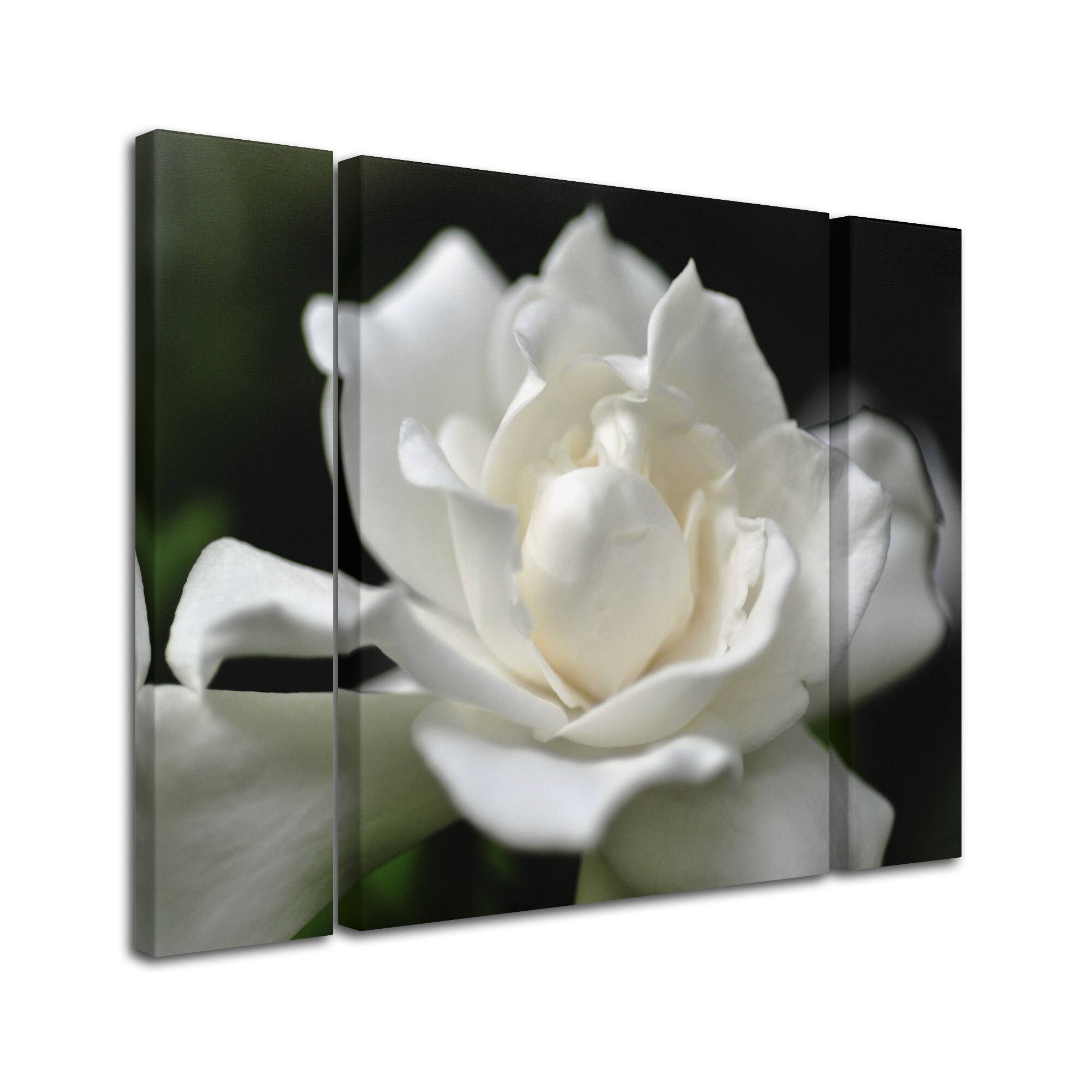 Trademark Global Kurt Shaffer &Lovely Gardenia& Multi Panel Art Set Small