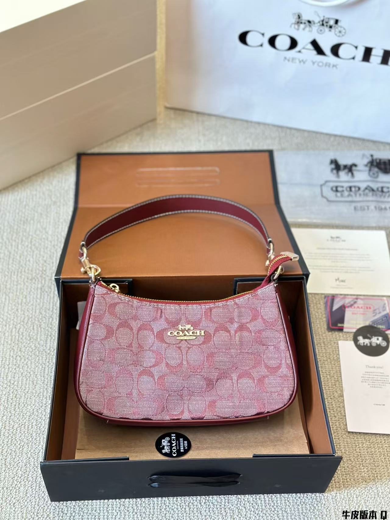 Coach Teri Underarm Bag - cnluxepick