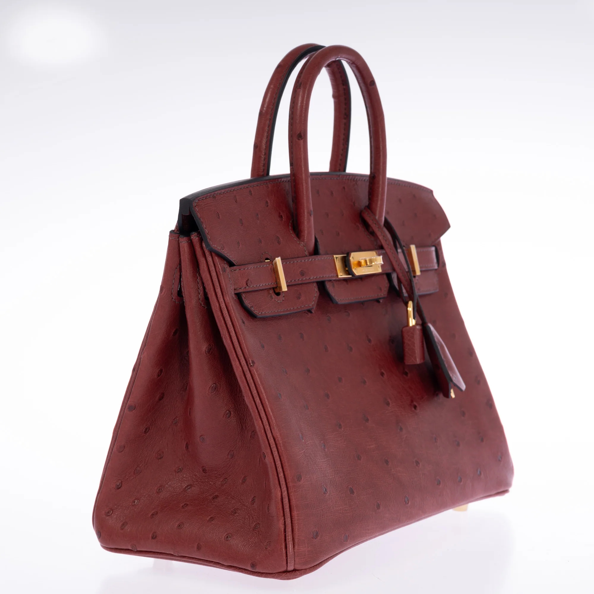 Hermès Birkin 25 Rouge H Ostrich Retourné Gold Hardware