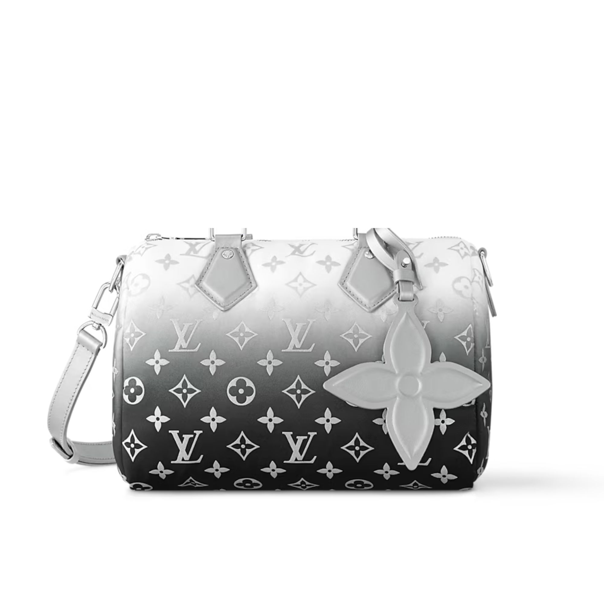 Louis Vuitton Speedy Bandouliere 25 Frost Gardiant Silver 25cm M11848