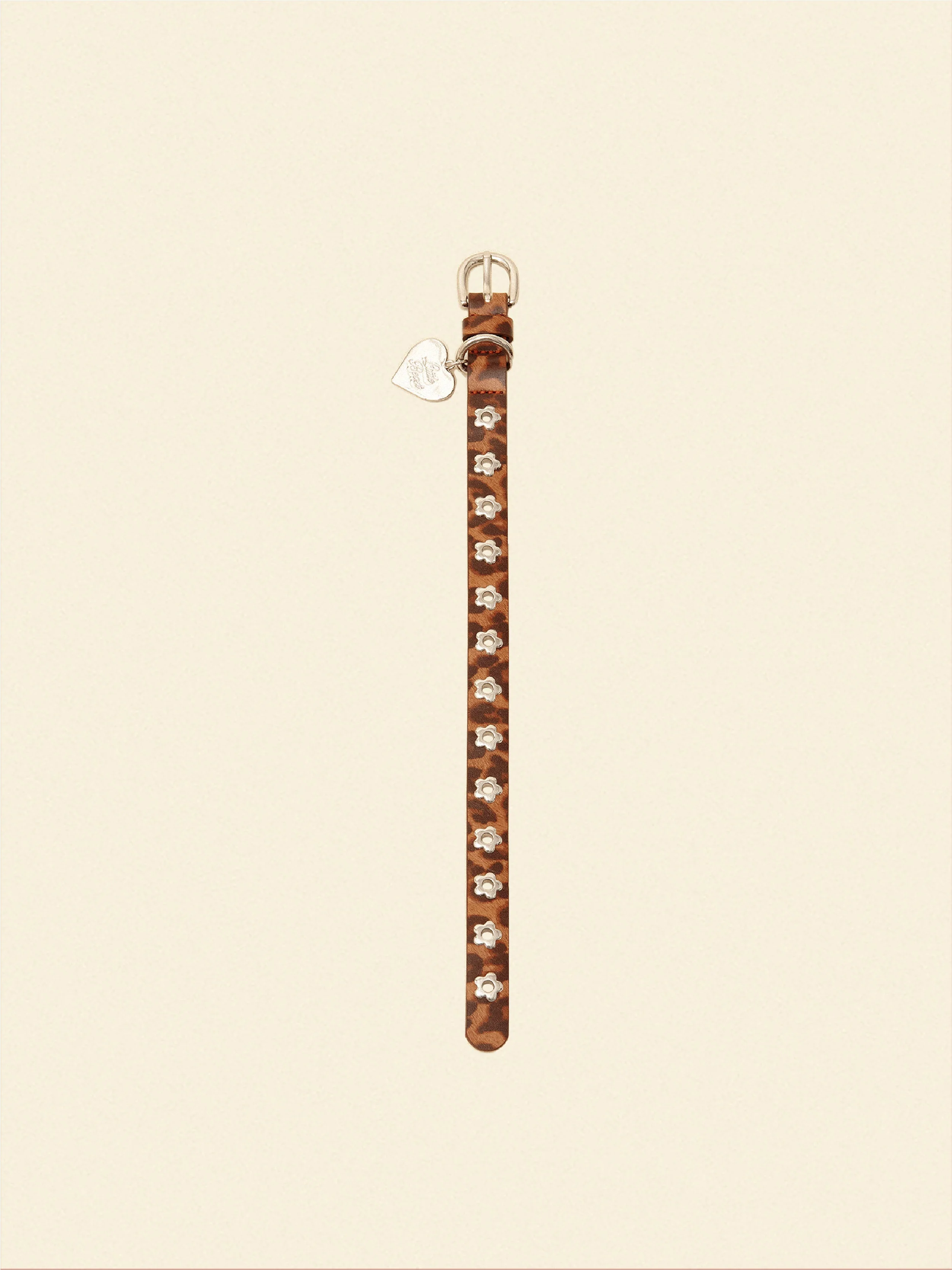 Cougar - Flower Power Collar