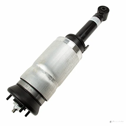 Oe Supplier Rnb501600 Suspension Strut Assembly