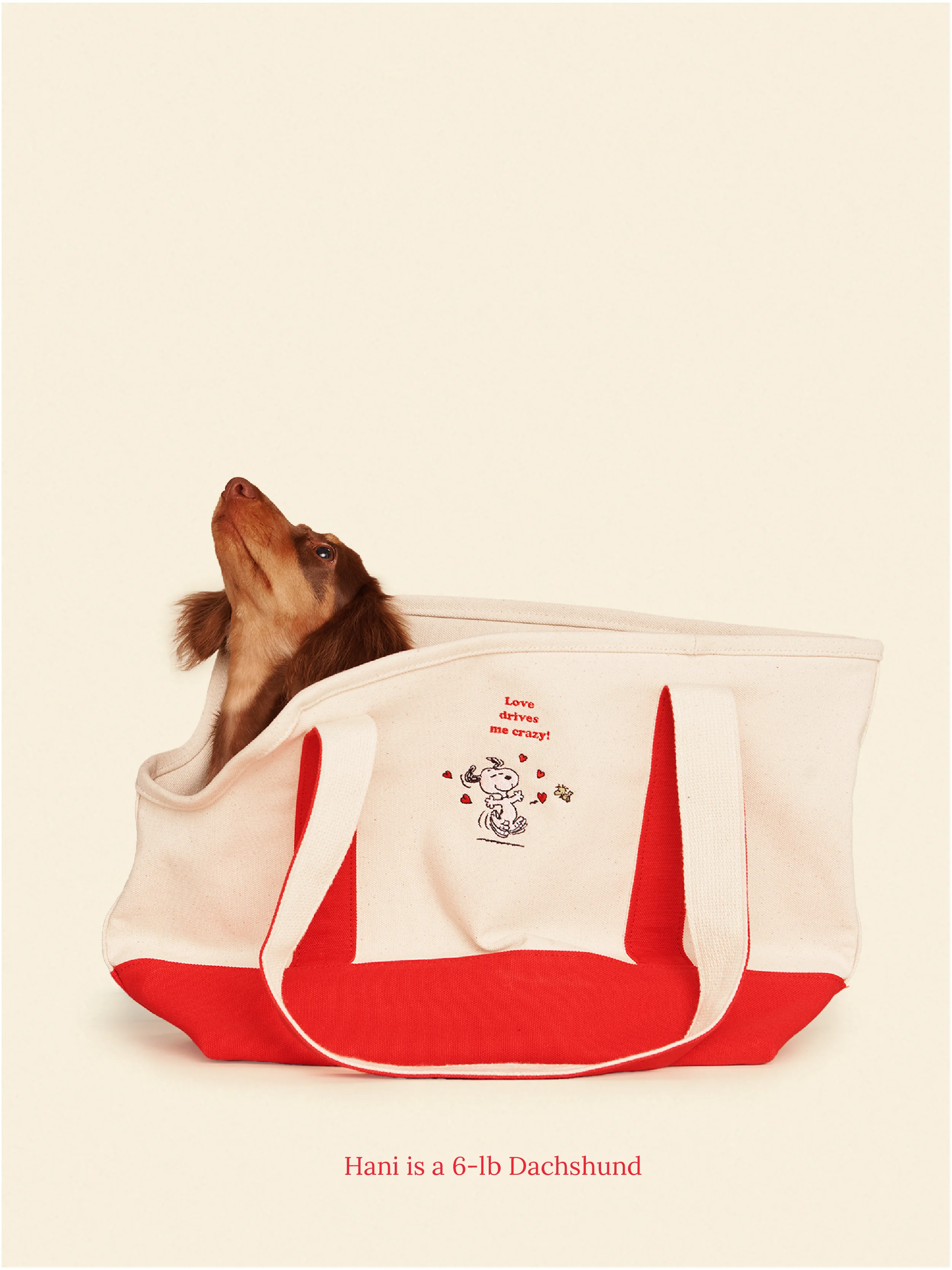 Love Drives Me Crazy Canvas Tote - PEANUTS