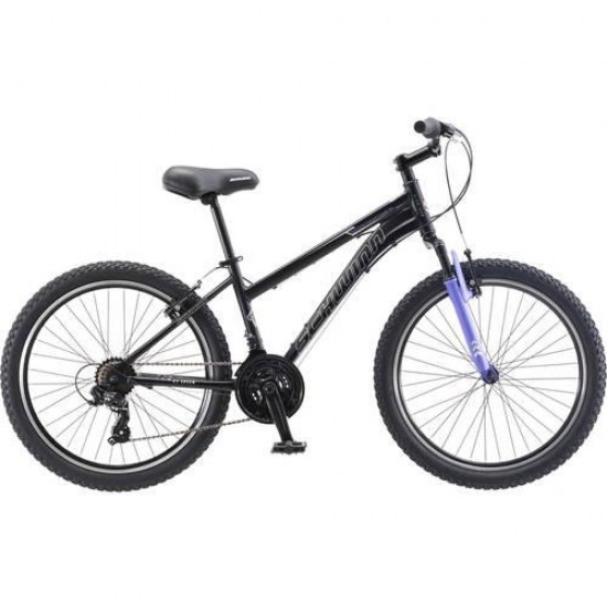 Sidewinder, Mountain Bike, 24 in wheels, Black/Purple, 21 speeds, steel frame