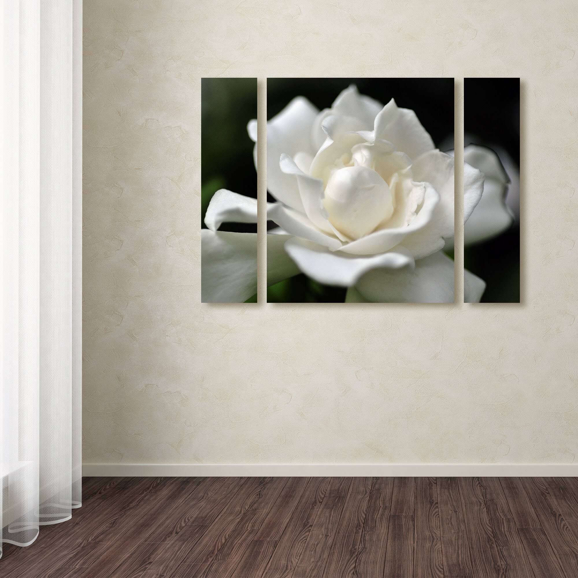Trademark Global Kurt Shaffer &Lovely Gardenia& Multi Panel Art Set Small