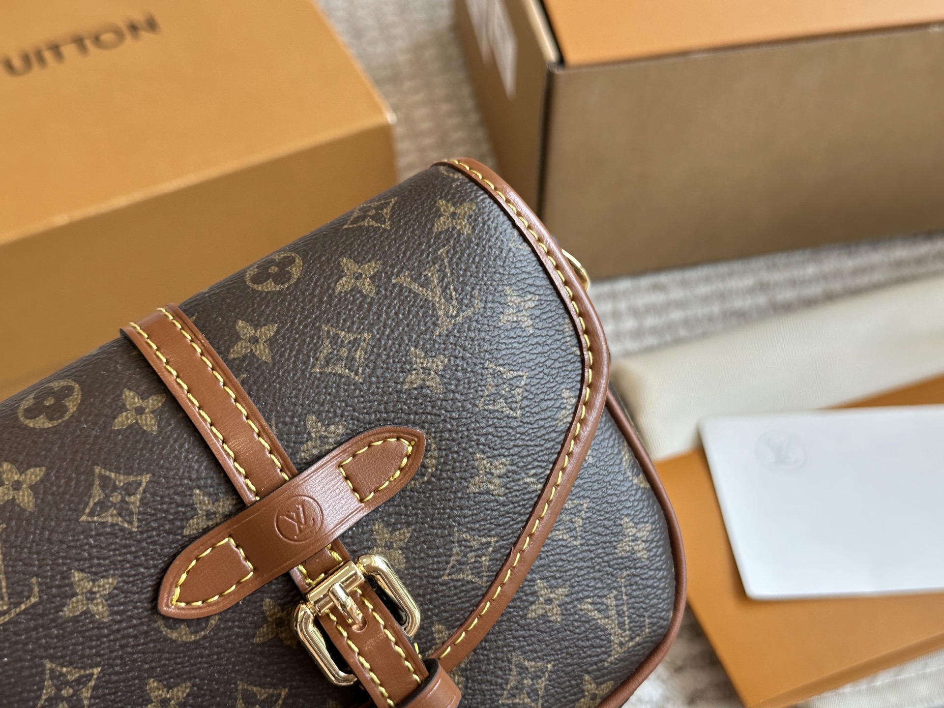LV's compact and versatile saddle bag - cnluxepick