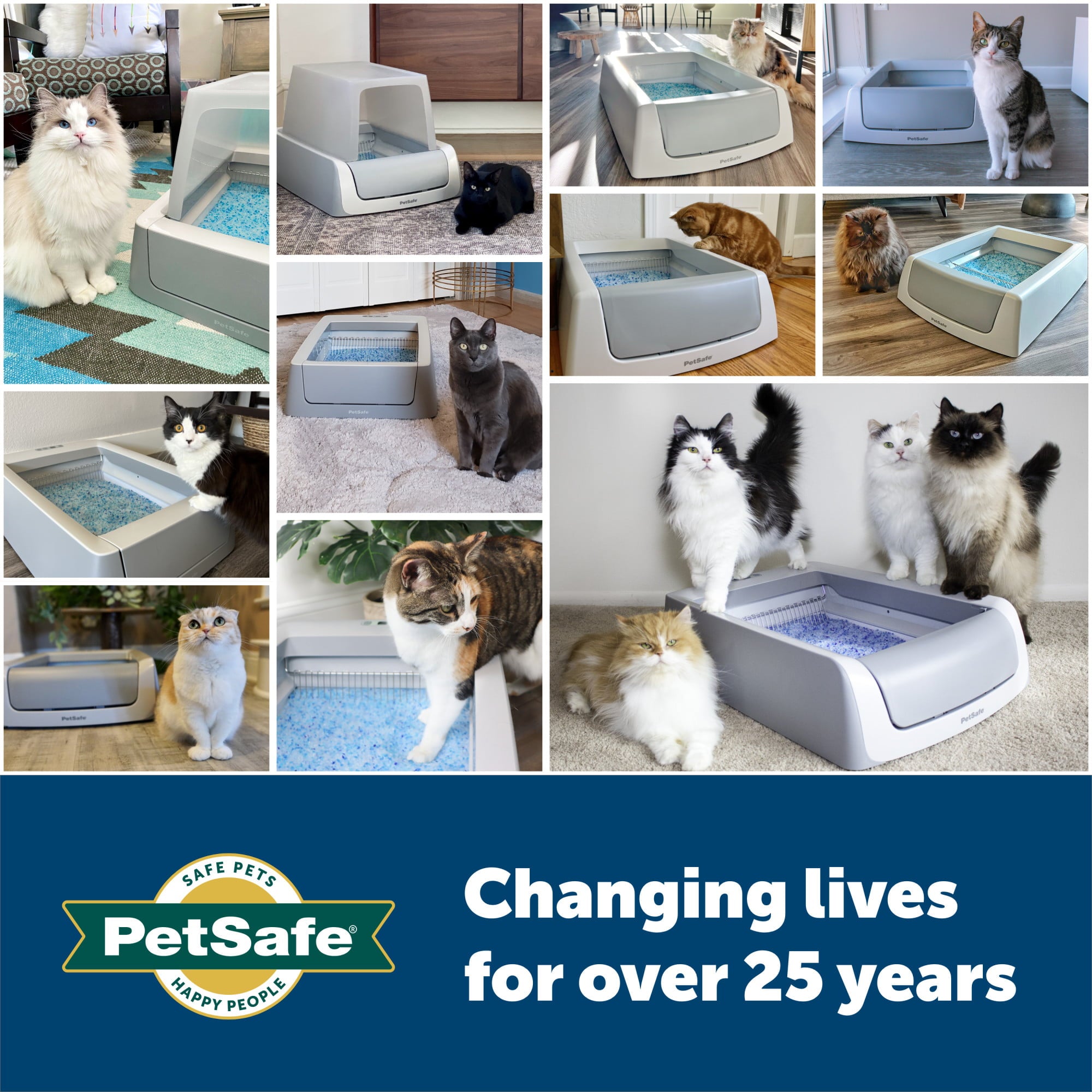 PetSafe ScoopFree Complete Replacement Blue Crystal Litter Tray, 6-Pack Easy Cleanup with Disposable Tray Includes Leak Protection and Low Tracking