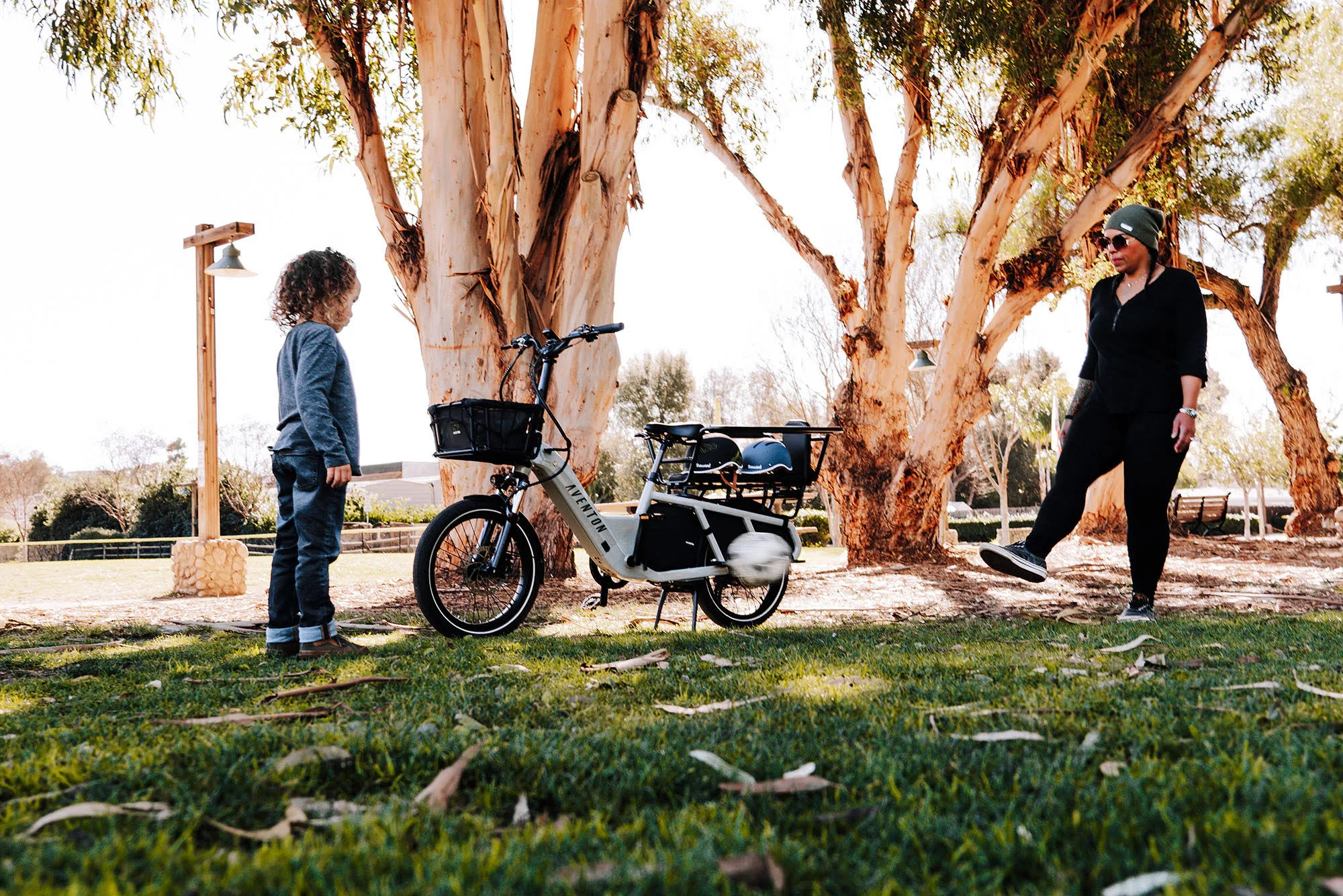 Aventon Abound Cargo | Sage