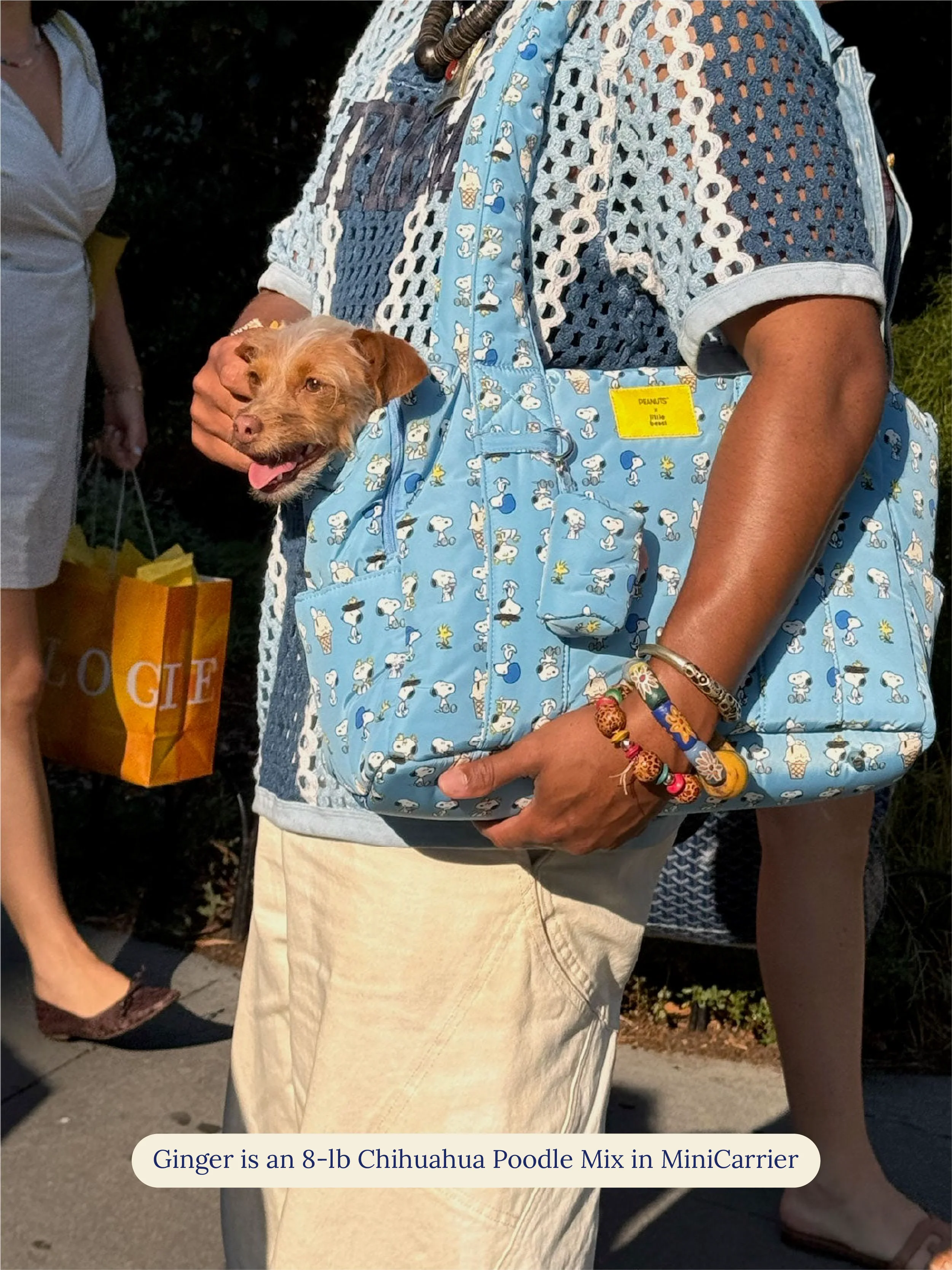Snoopy Chillin Carrier - PEANUTS