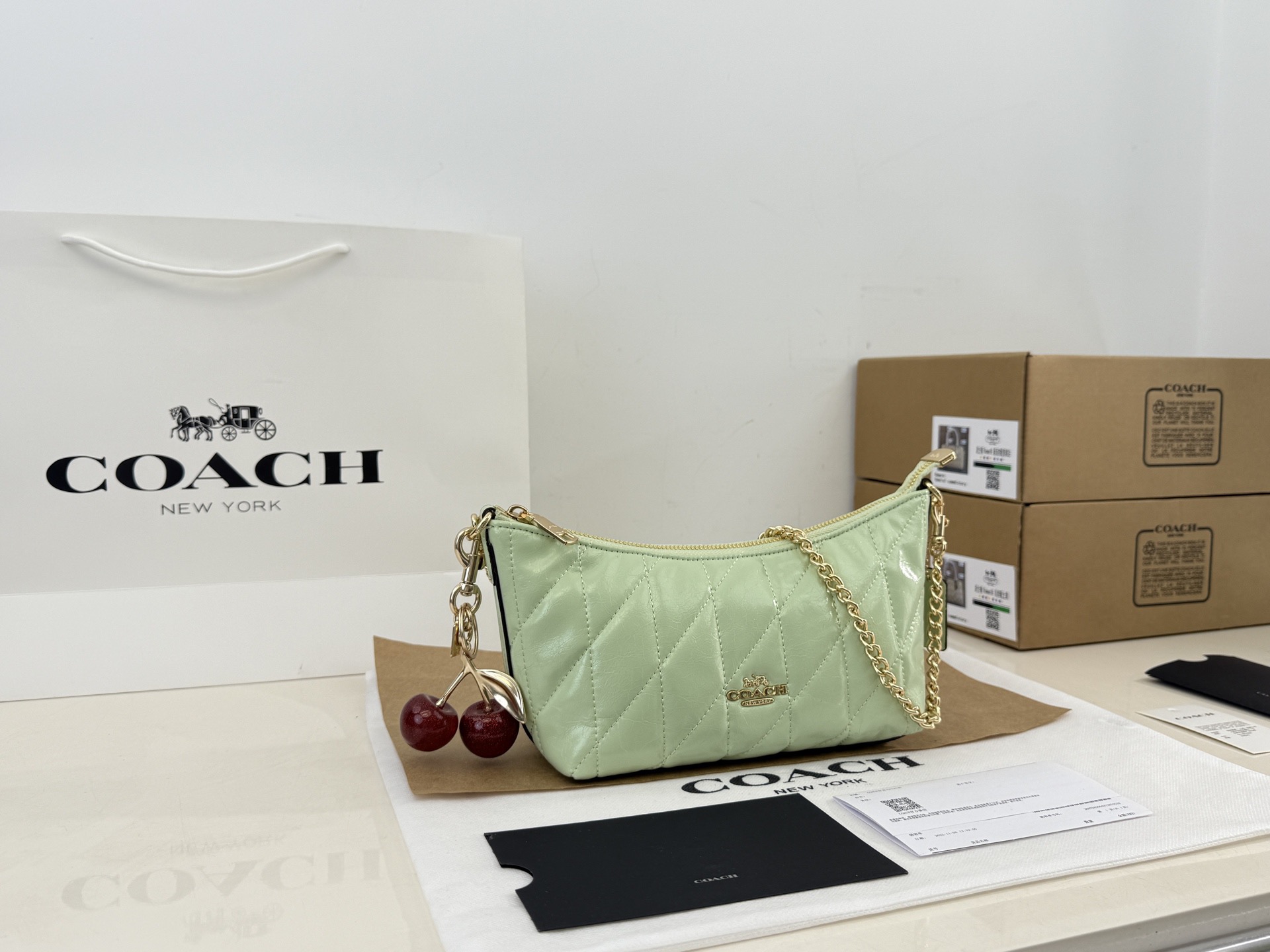 Coach Underarm Bag - cnluxepick