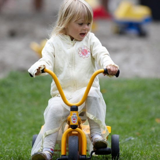 Tricycle with Tray