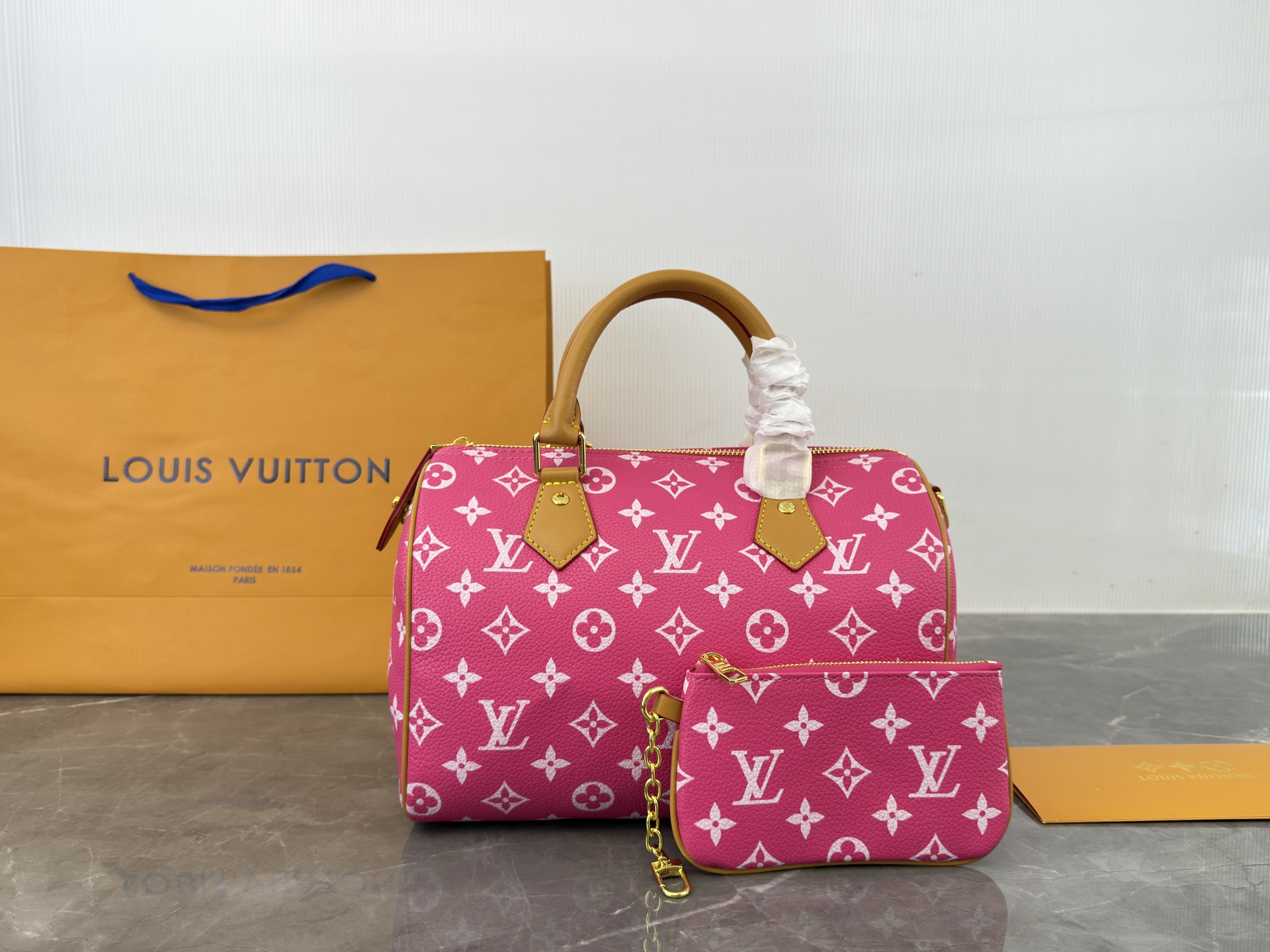 LV Speedy Pillow Bag - cnluxepick