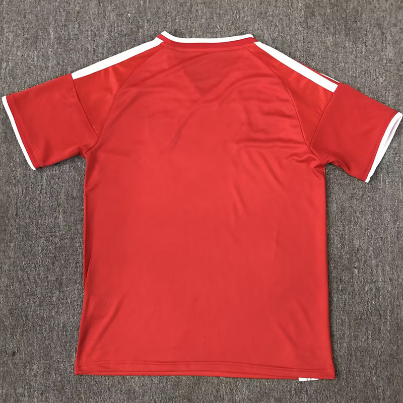26-27 Wales Red Special Edition Fans Soccer Jersey