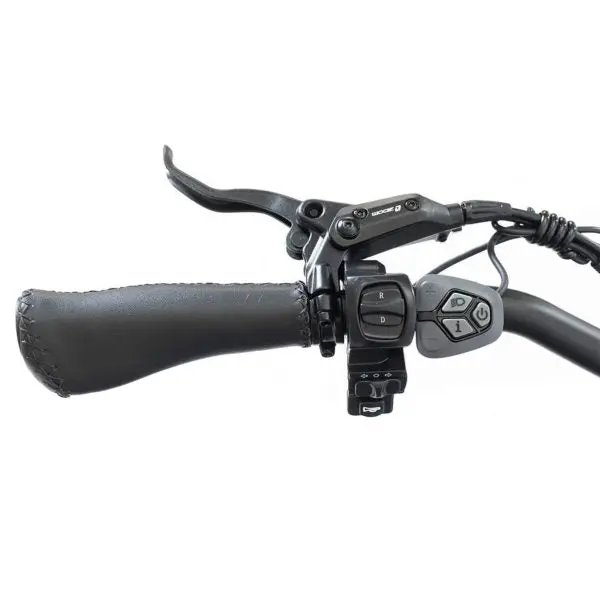 SILVERADO 20″ Foldable 48V 14Ah 750W Electric Trike with Fat Tires – 330 lb Capacity