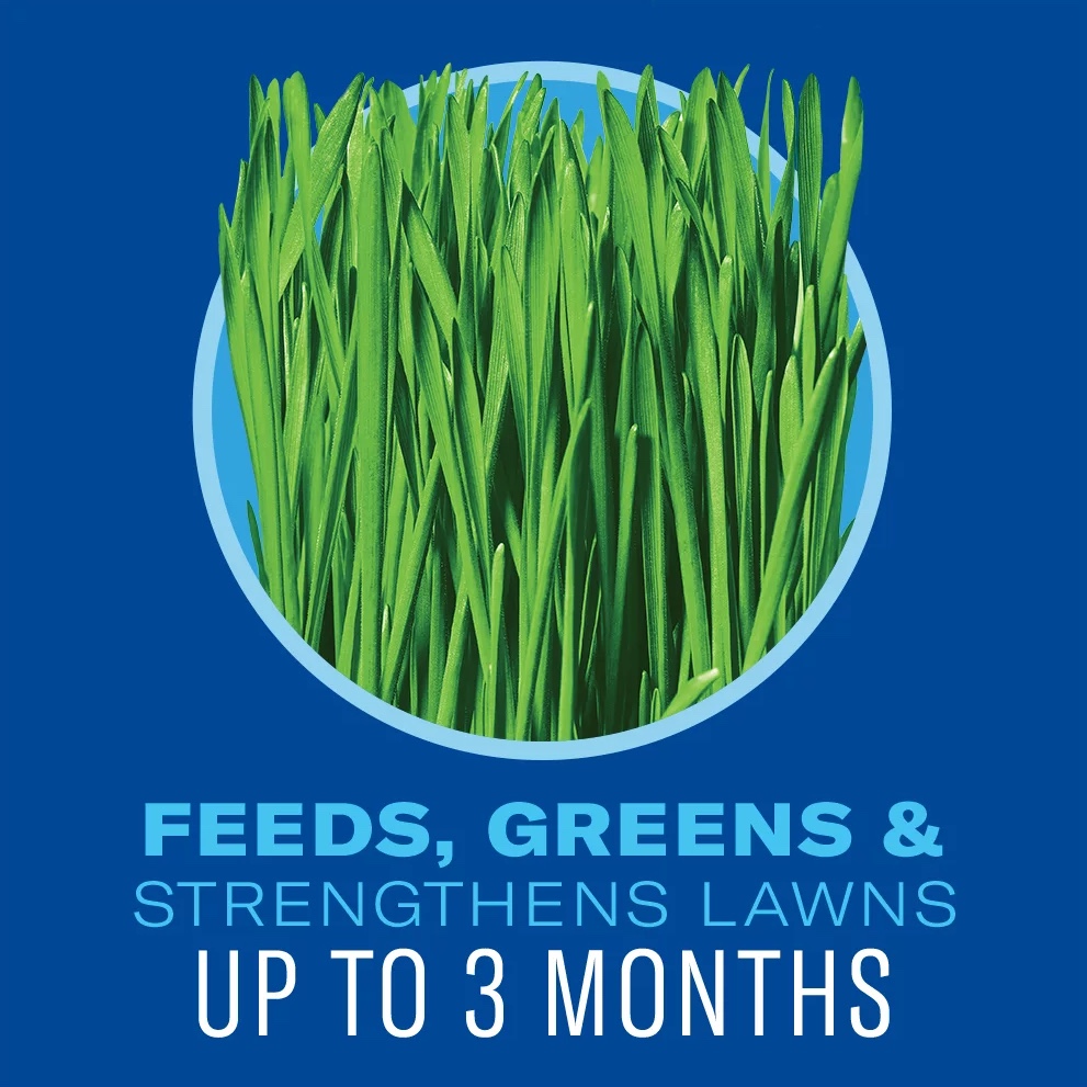 BioAdvanced 5 In 1 Weed and Feed, Granules, 24 lbs