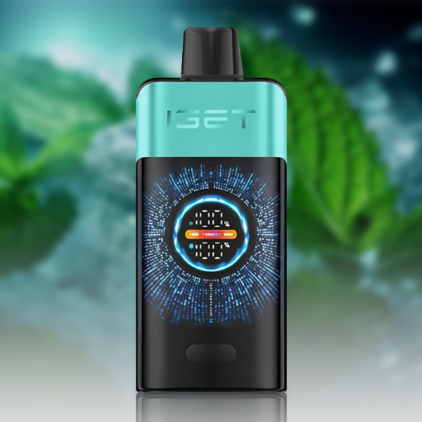 IGET ONE 12000 Puffs Disposable Vape|3-5-10pcs
