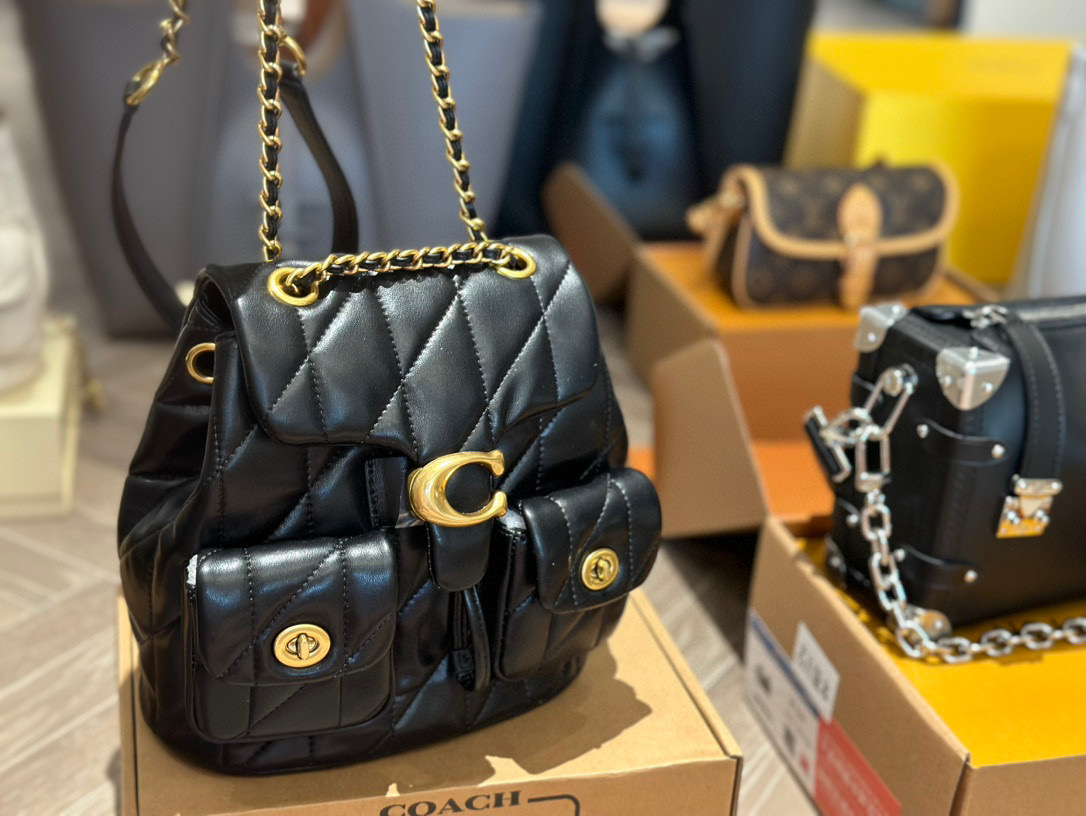 Coach versatile backpack - cnluxepick