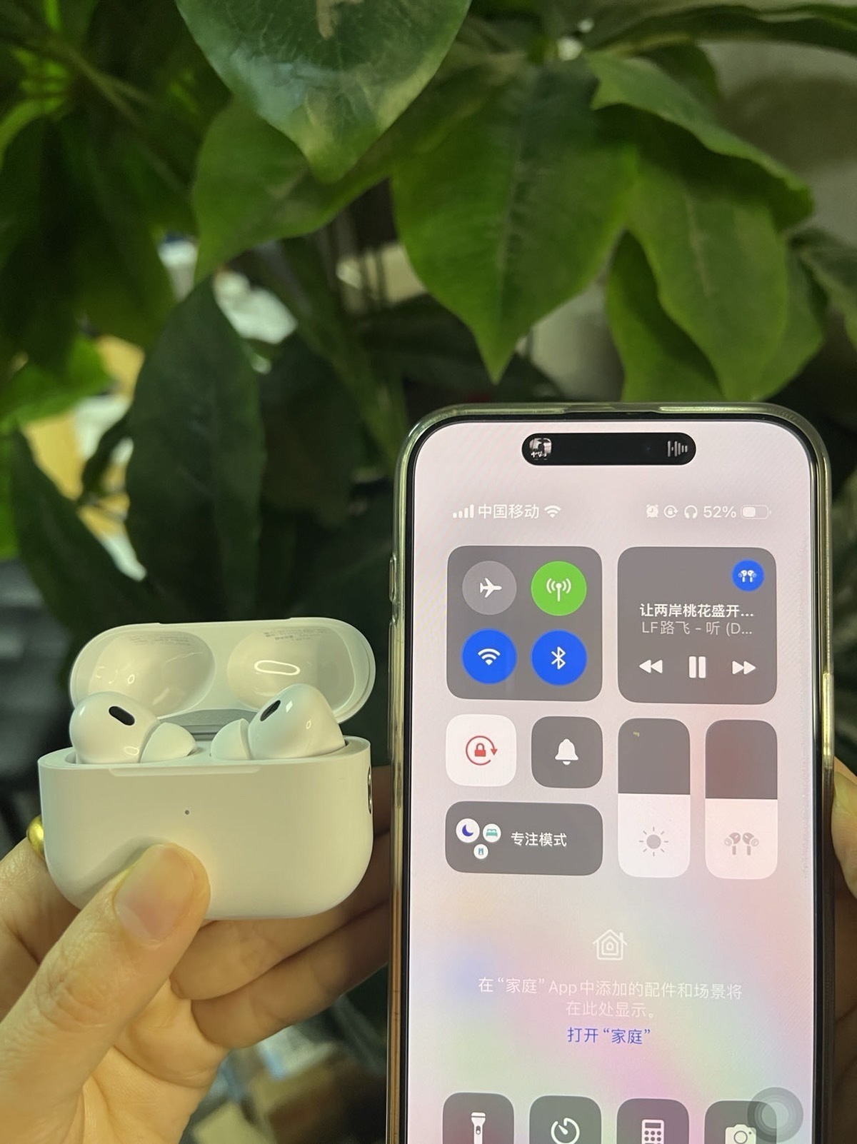 Apple AirPods Pro (USB-C)
