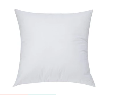 Free gift throw pillow pillow insert