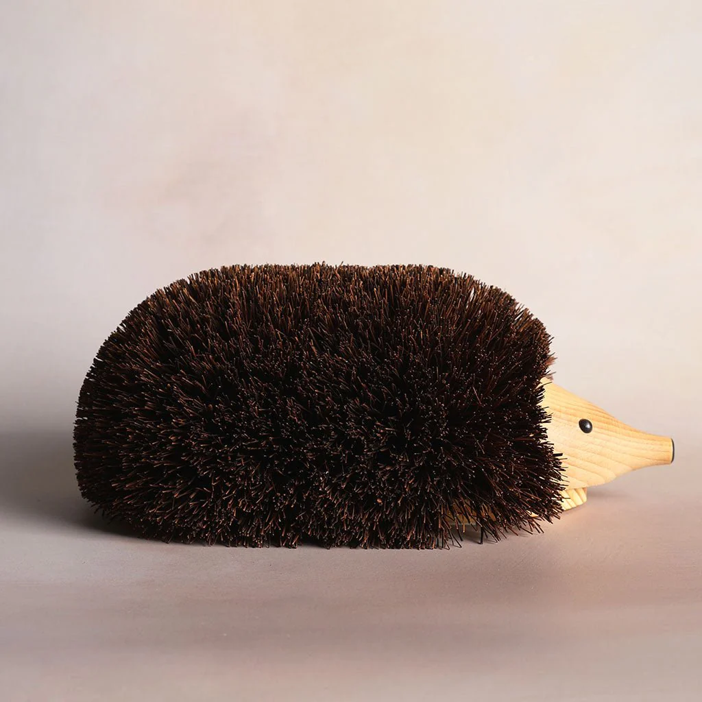 Shoe Cleaning Hedgehog