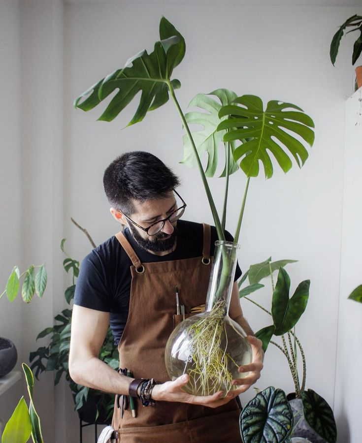 Discover the Optimal Water for Houseplants: Can Filtered Water Be Beneficial?