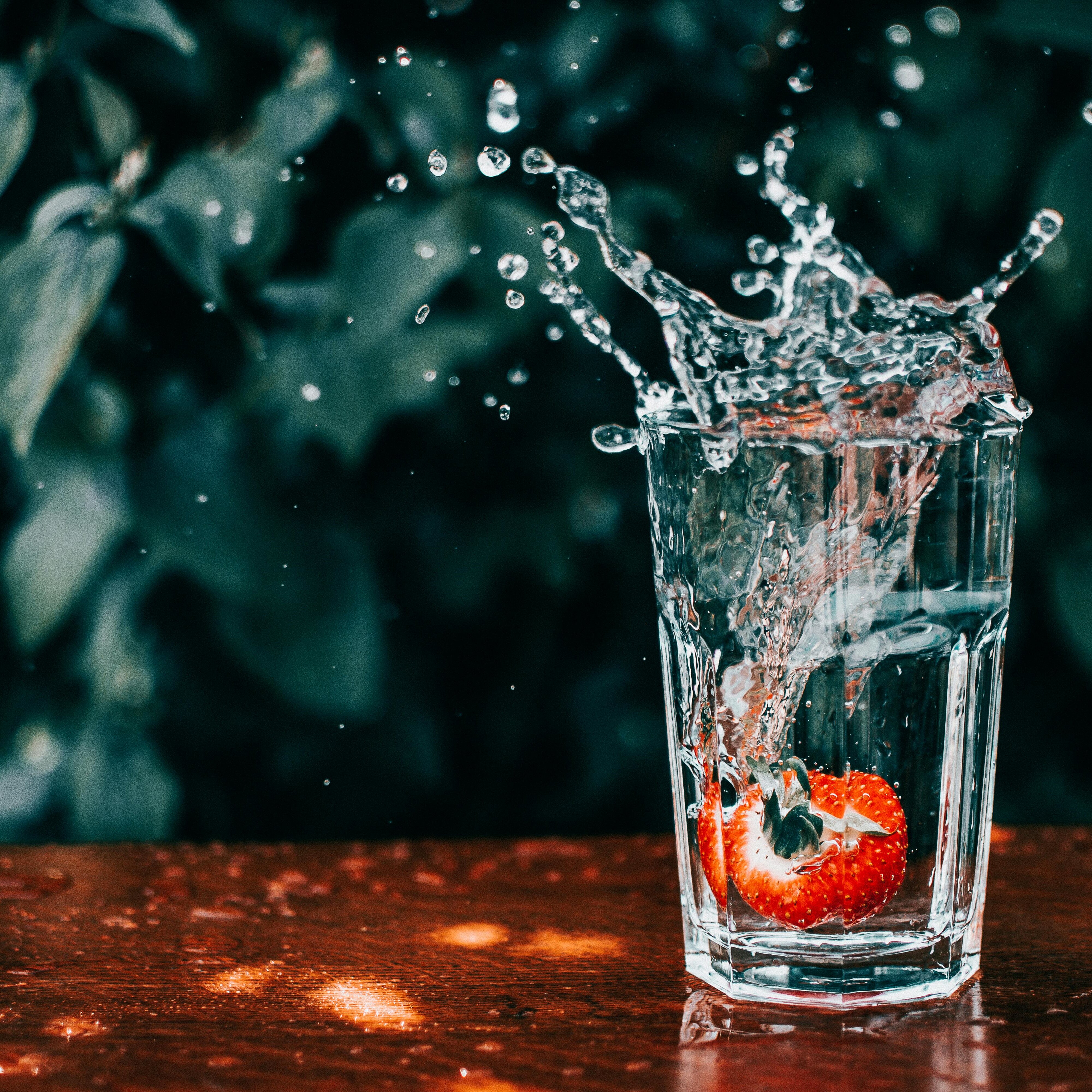 Filter1pro AO03 Replacement Refrigerator Water Filter for EDR3-RXD1 4396841 4396710 9083 Filter 3 White