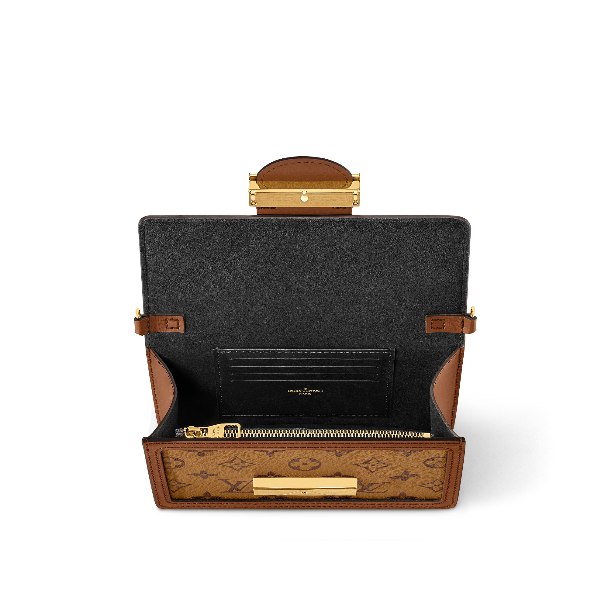 도핀 체인 월릿