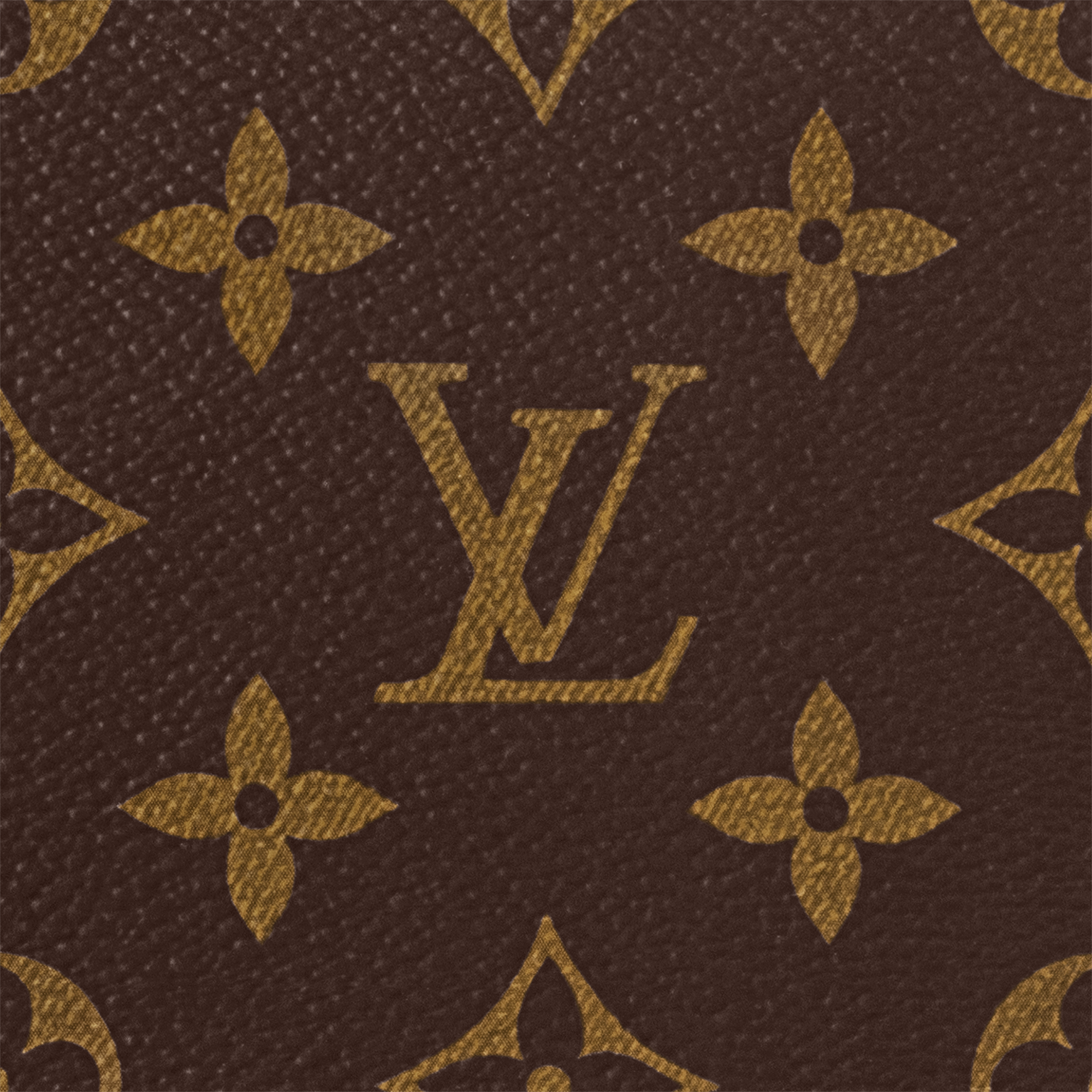 지피 오거나이저