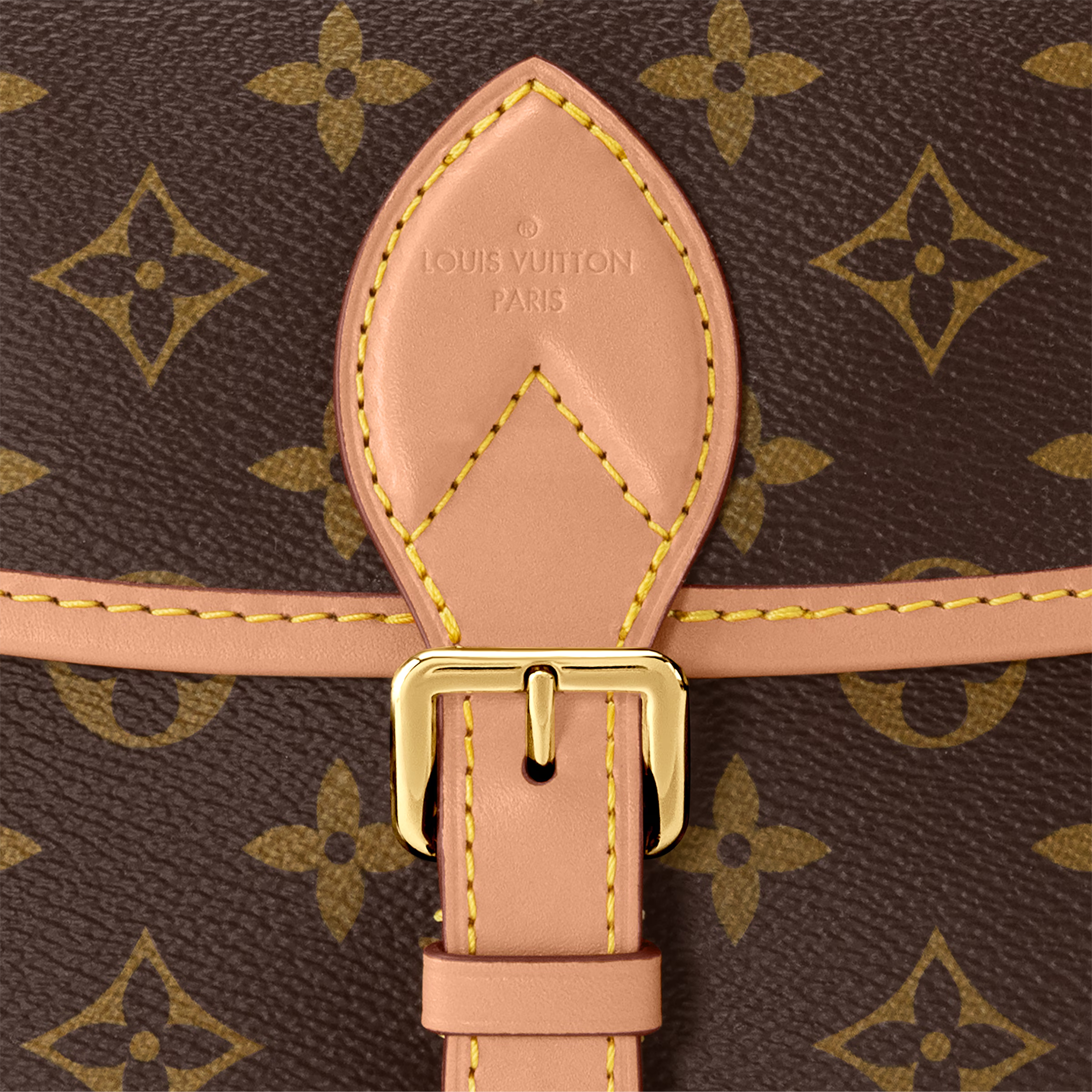 Louis Vuitton diane handbag