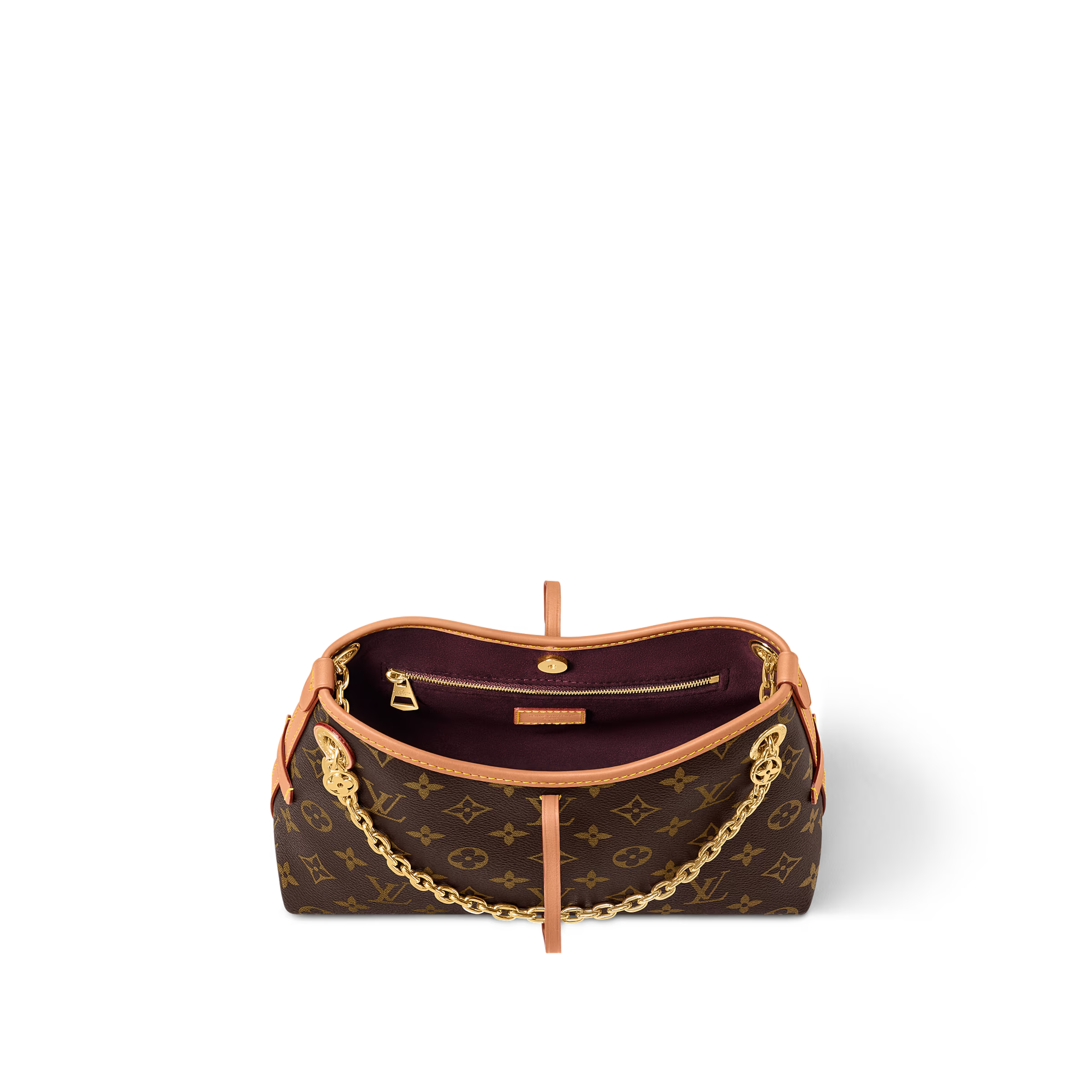 Louis Vuitton CarryAll BB Monogram