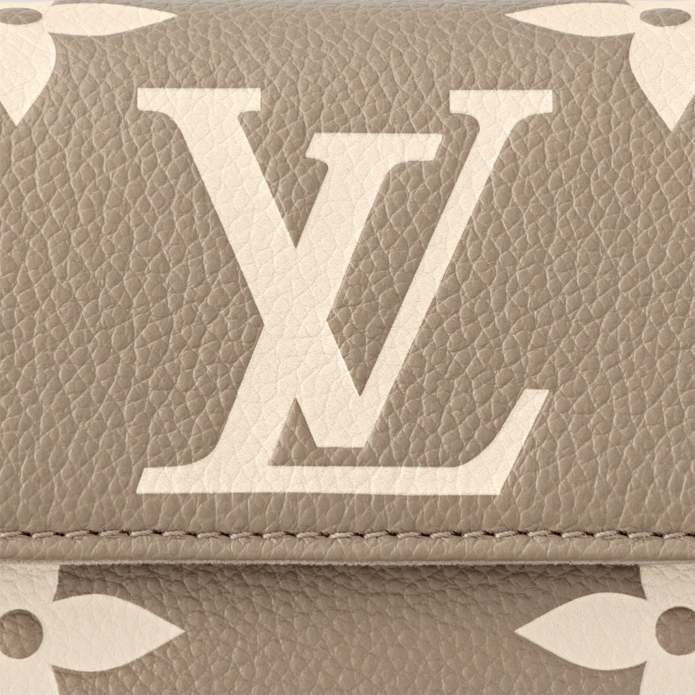 Louis Vuitton Wallet On Chain Ivy Dove
