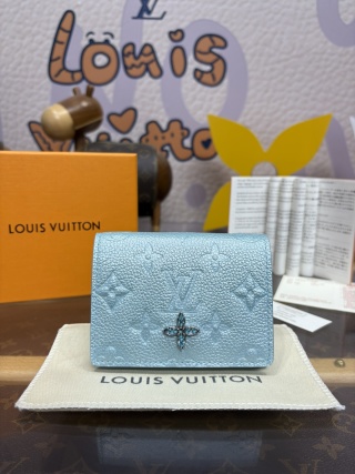 1198-Ski Collection – Blue Flap Card Holder