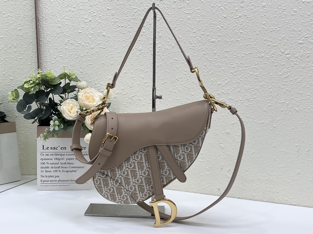 5041-Dior Saddle Bag | Oblique Canvas Elegance with Iconic “D” Charm