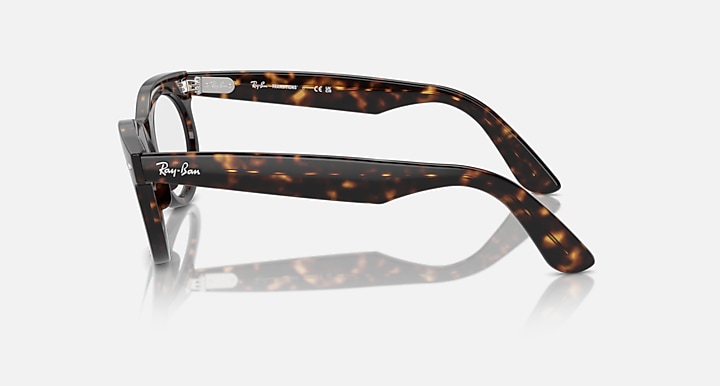WAYFARER OVAL TRANSITIONS®